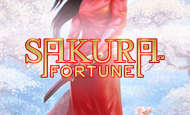 Sakura Fortune