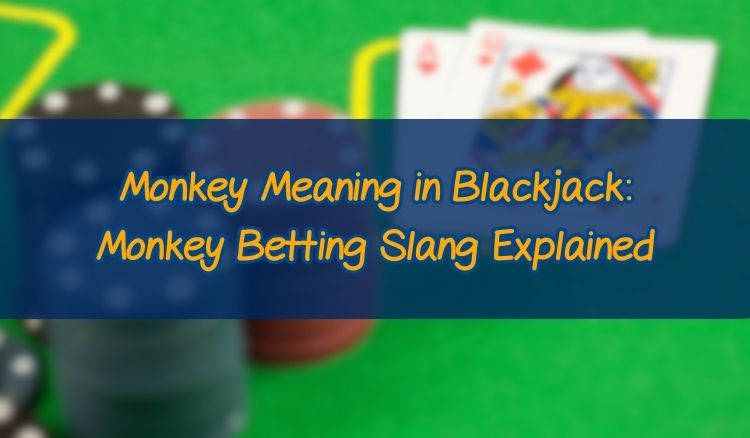 Monkey Meaning in Blackjack: Monkey Betting Slang Explained
