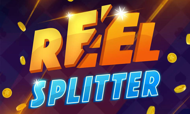 Reel Splitter Cover