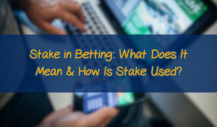 Stake in Betting: What Does It Mean & How Is Stake Used?