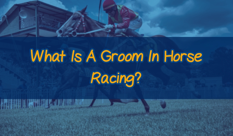 What Is A Groom In Horse Racing?