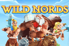 Wild Nords Slot Review