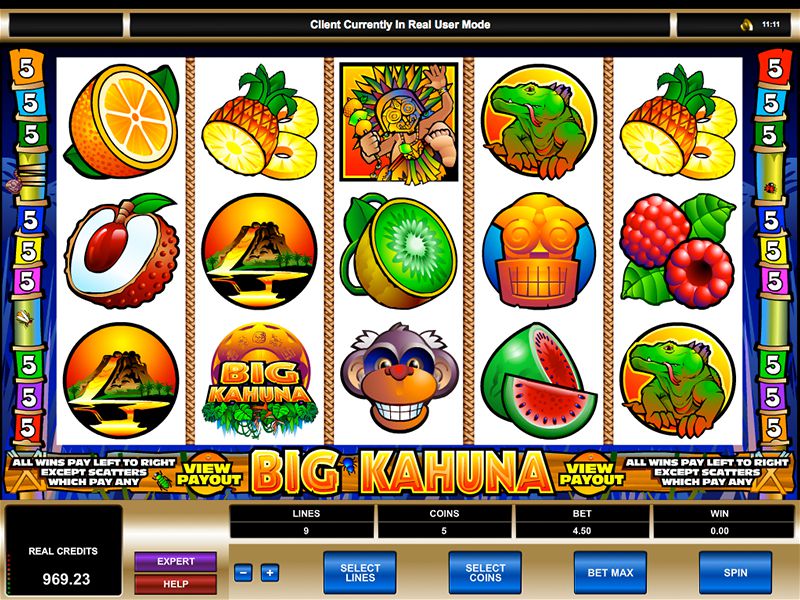 Big Kahuna Slots Game gameplay
