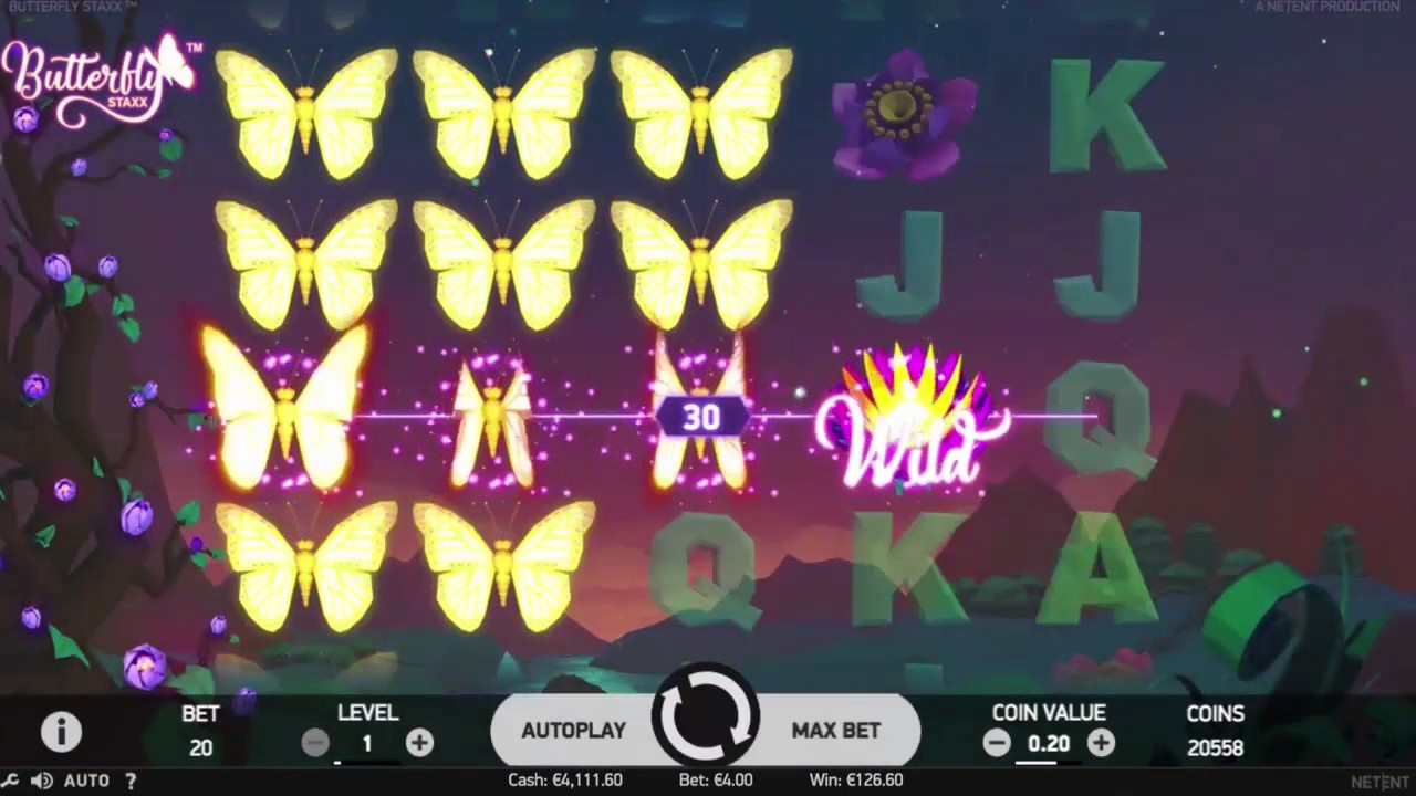 Butterfly Staxx Win
