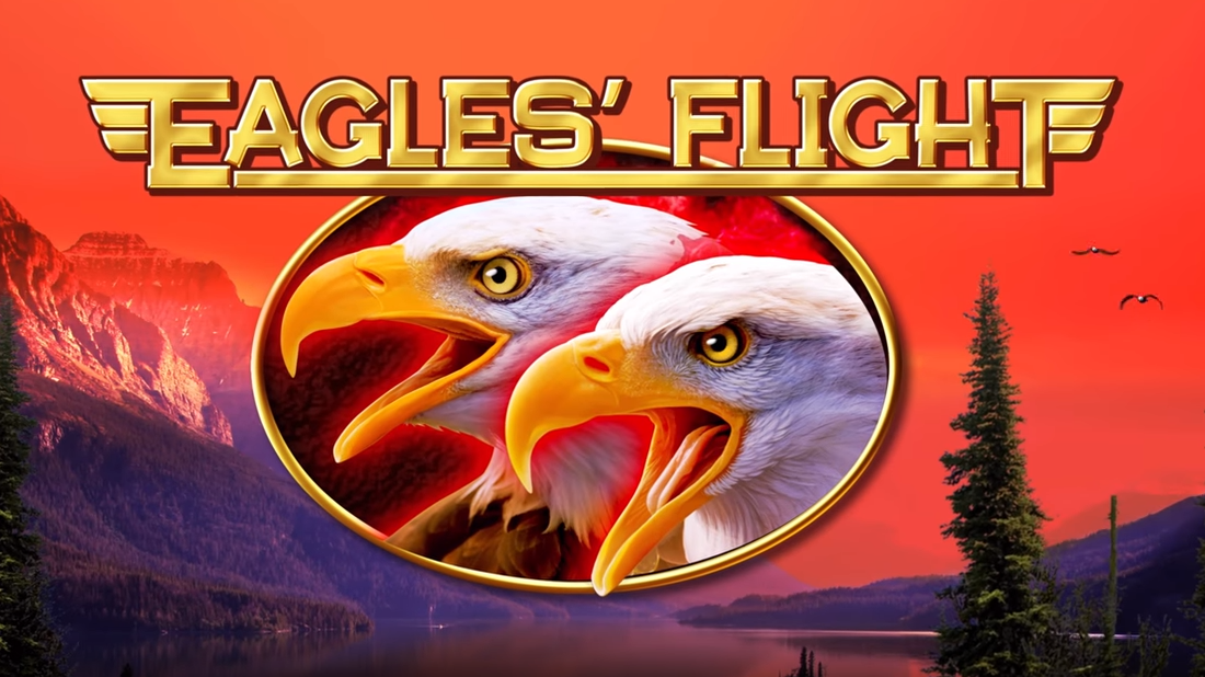 eagles flight banner
