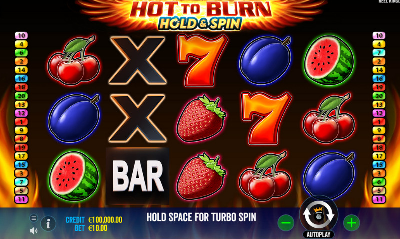 Hot To Burn Hold And Spin Slot Gameplay