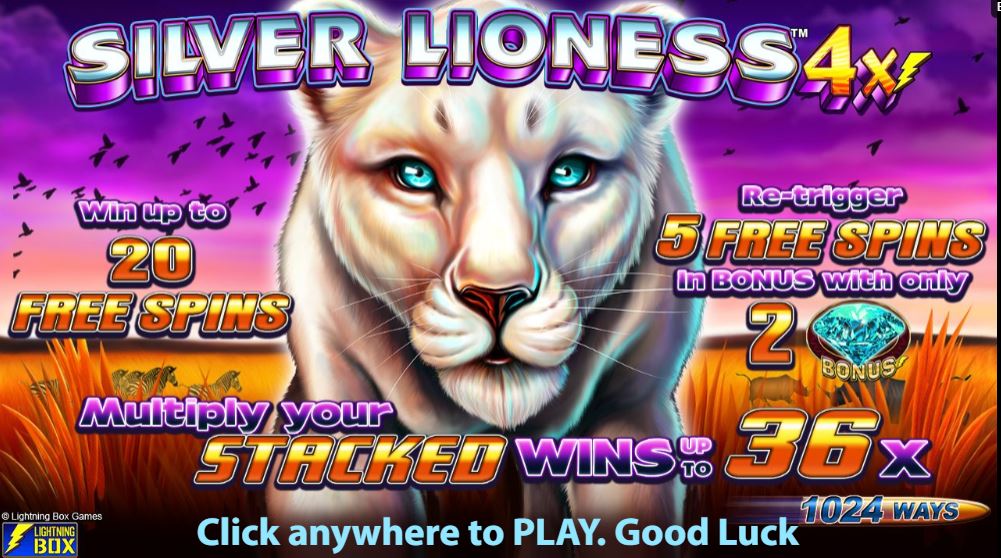 Silver Lioness Introduction