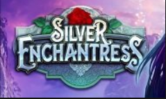 Silver enchantress Logo