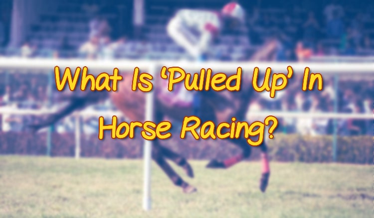 What Is ‘Pulled Up’ In Horse Racing?